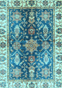 Oriental Light Blue Traditional Rug, abs3529lblu