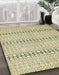 Machine Washable Abstract Dark Moccasin Green Rug in a Family Room, wshabs352