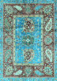 Oriental Light Blue Traditional Rug, abs3531lblu