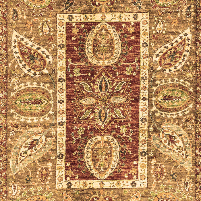 Oriental Brown Traditional Rug, abs3533brn