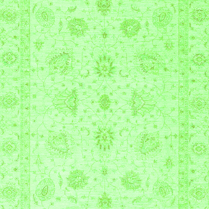 Oriental Green Traditional Rug, abs3551grn