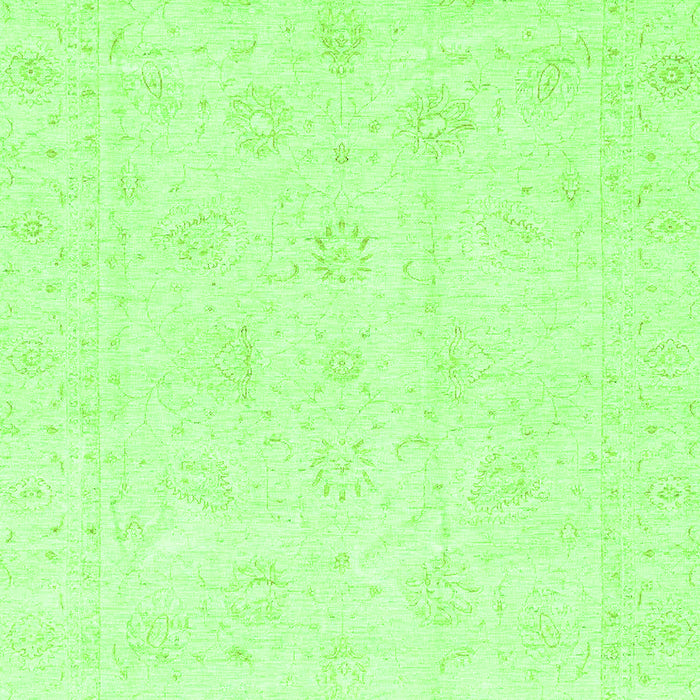 Oriental Green Traditional Rug, abs3552grn