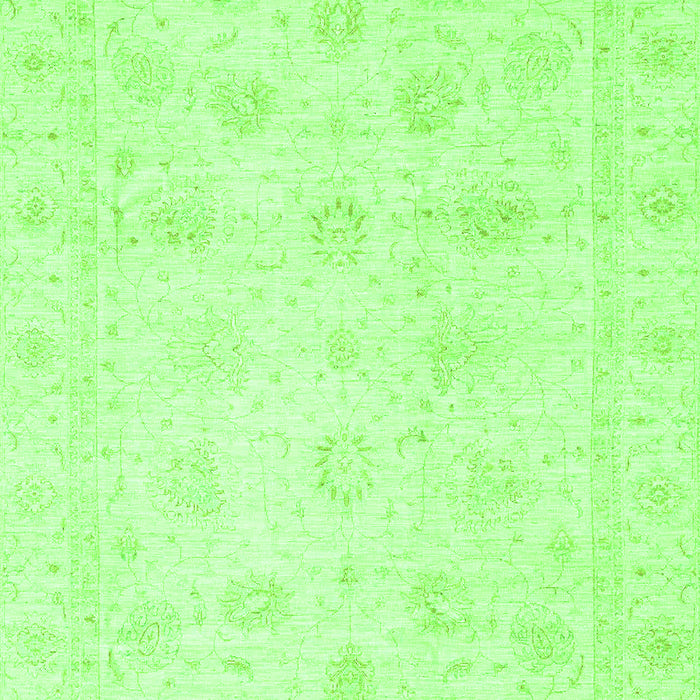 Oriental Green Traditional Rug, abs3553grn