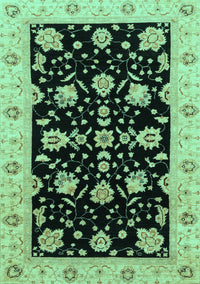 Oriental Turquoise Traditional Rug, abs3557turq