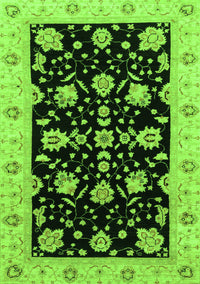 Oriental Green Traditional Rug, abs3557grn