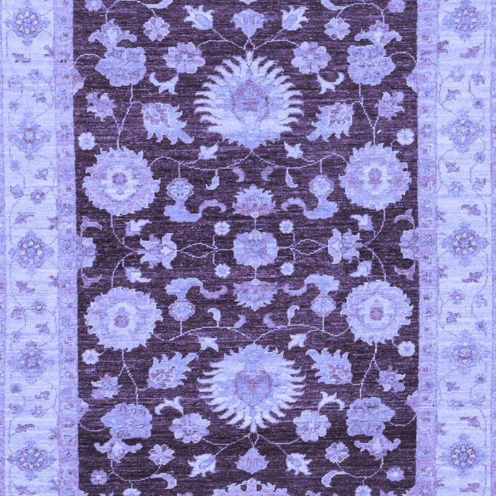 Oriental Blue Traditional Rug, abs3560blu