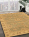 Abstract Orange Oriental Rug in Family Room, abs3568