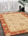 Machine Washable Abstract Orange Rug in a Family Room, wshabs3575