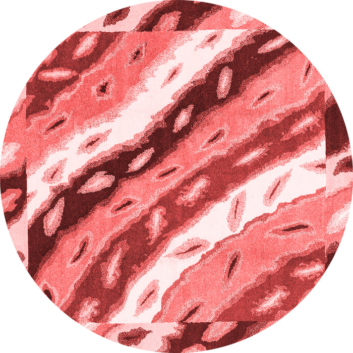 Machine Washable Animal Red Modern Rug, wshabs3598red