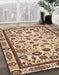 Abstract Chestnut Brown Modern Rug in Family Room, abs3601