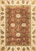 Oriental Brown Traditional Rug, abs3602brn