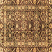 Square Machine Washable Oriental Brown Traditional Rug, wshabs3605brn