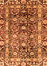 Oriental Orange Traditional Rug, abs3605org