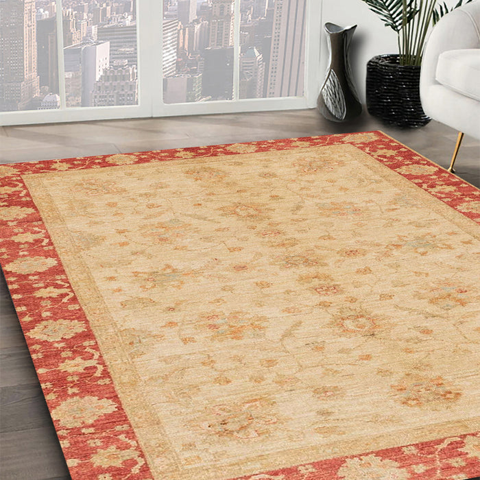 Machine Washable Abstract Indian Saffron Orange Rug in a Family Room, wshabs3613
