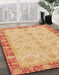 Abstract Orange Oriental Rug in Family Room, abs3614