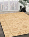 Machine Washable Abstract Orange Rug in a Family Room, wshabs3620