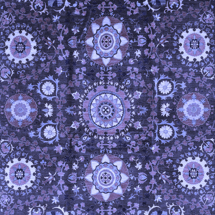 Oriental Blue Modern Rug, abs3641blu