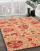 Machine Washable Abstract Orange Red Rug in a Family Room, wshabs3643