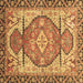 Square Machine Washable Oriental Brown Modern Rug, wshabs3644brn