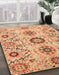 Machine Washable Abstract Orange Rug in a Family Room, wshabs3645