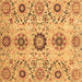 Square Machine Washable Oriental Brown Modern Rug, wshabs3645brn