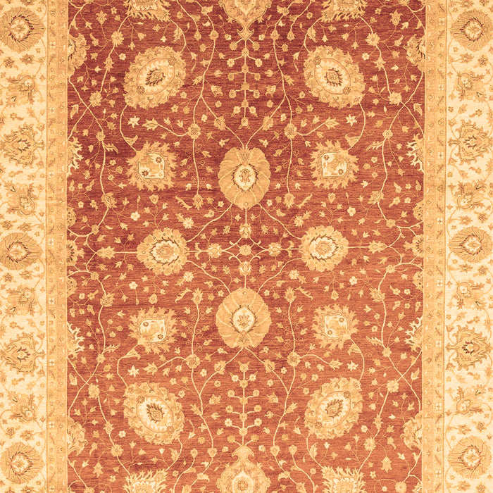 Oriental Brown Traditional Rug, abs3649brn