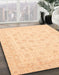 Machine Washable Abstract Brown Gold Rug in a Family Room, wshabs3650