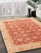 Abstract Bright Orange Oriental Rug in Family Room, abs3655