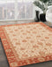 Machine Washable Abstract Orange Rug in a Family Room, wshabs3659