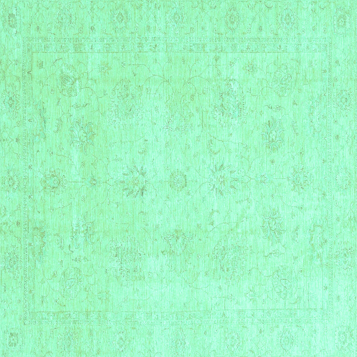 Square Oriental Turquoise Traditional Rug, abs3669turq