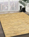 Machine Washable Abstract Cinnamon Brown Rug in a Family Room, wshabs3674