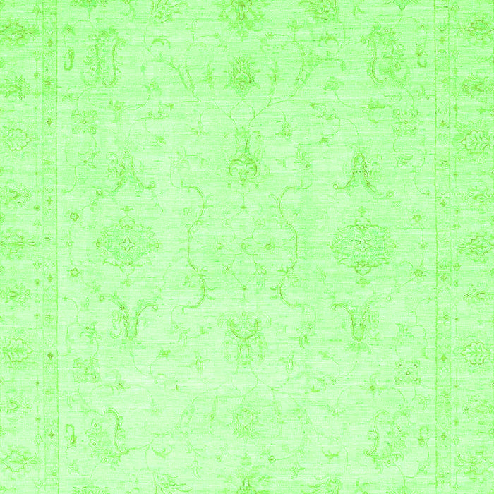 Oriental Green Traditional Rug, abs3692grn