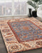 Abstract Brown Oriental Rug in Family Room, abs3699