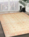 Abstract Khaki Gold Oriental Rug in Family Room, abs36