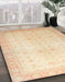 Machine Washable Abstract Khaki Gold Rug in a Family Room, wshabs36