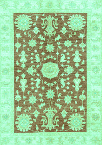 Oriental Turquoise Traditional Rug, abs3713turq