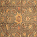 Square Oriental Brown Traditional Rug, abs3721brn