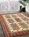 Machine Washable Abstract Fire Brick Red Rug in a Family Room, wshabs373