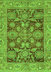 Oriental Green Traditional Rug, abs3753grn