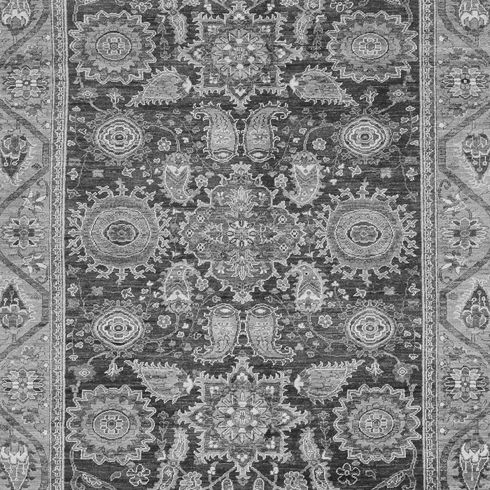 Oriental Gray Traditional Rug, abs3753gry
