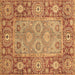 Square Oriental Brown Traditional Rug, abs3755brn