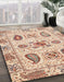 Abstract Rust Pink Modern Rug in Family Room, abs3756