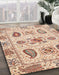 Machine Washable Abstract Rust Pink Rug in a Family Room, wshabs3756