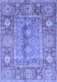 Oriental Blue Traditional Rug, abs3761blu