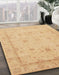 Machine Washable Abstract Orange Rug in a Family Room, wshabs3775