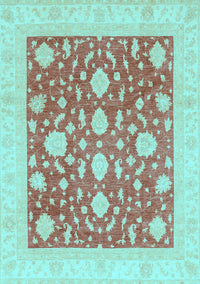 Oriental Light Blue Traditional Rug, abs3782lblu