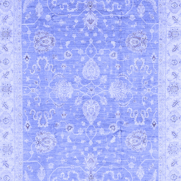 Oriental Blue Traditional Rug, abs3783blu
