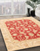 Abstract Bright Orange Modern Rug in Family Room, abs3790