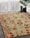 Abstract Red Oriental Rug in Family Room, abs3804