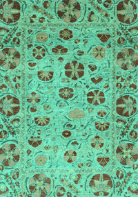 Oriental Turquoise Traditional Rug, abs3804turq